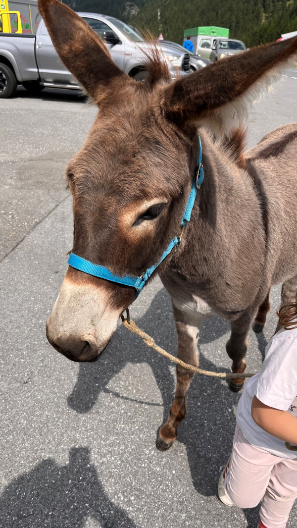 © Radio Liechtenstein