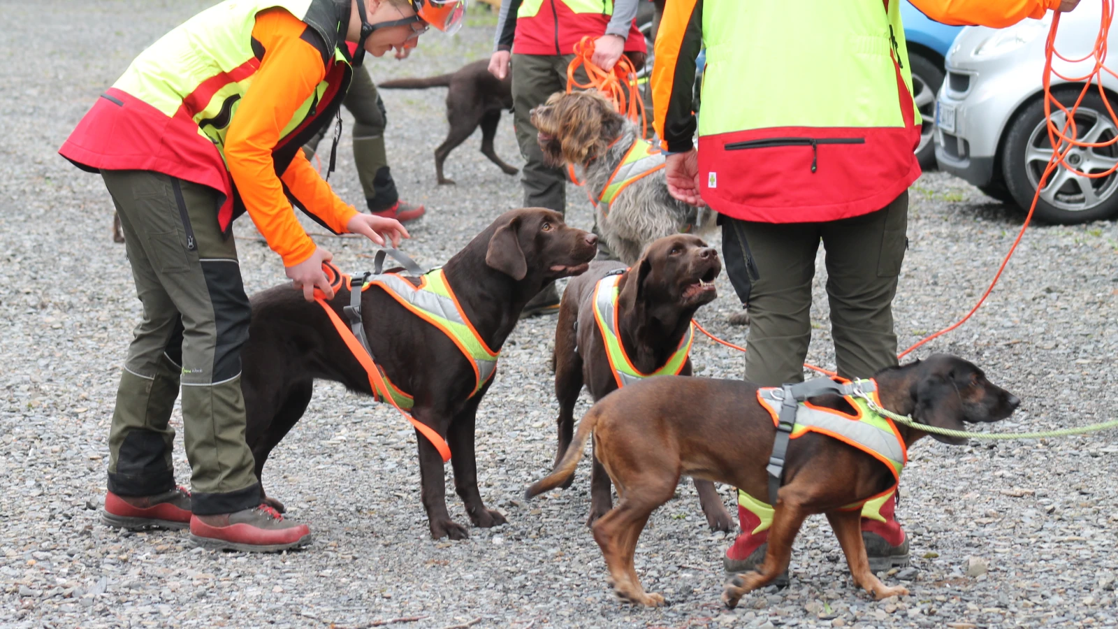 Kaybolan 6 Yaşındaki Çocuk Sağ Salim Bulundu, © ---/Kreis Olpe/dpa Kaybolan 6 Yaşındaki Çocuk Sağ Salim Bulundu, © ---/Kreis Olpe/dpa