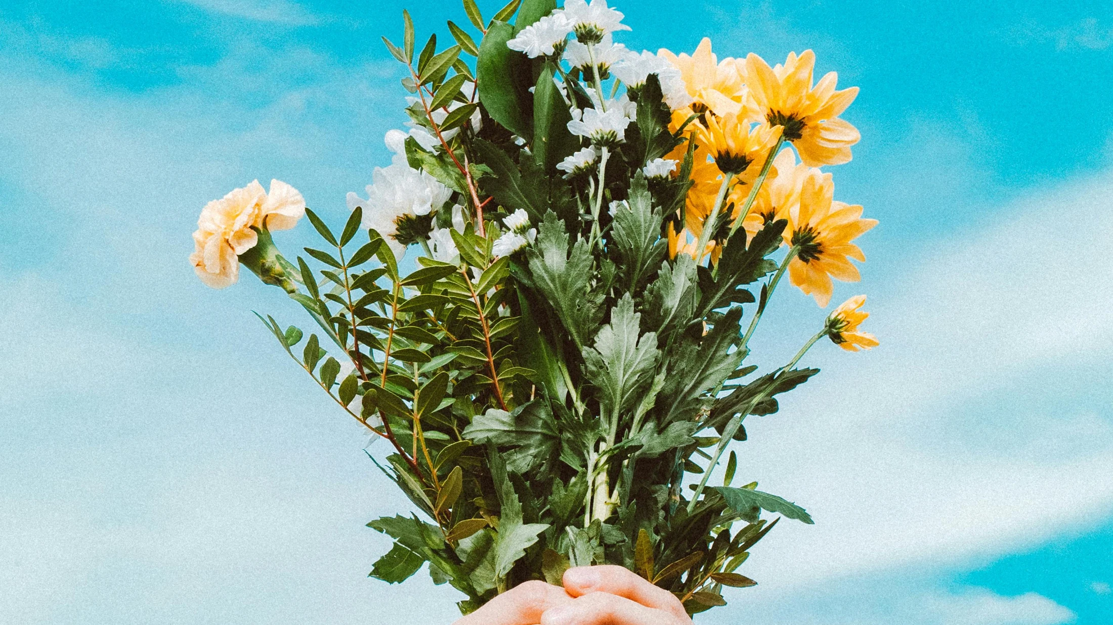 © Lisa Fotios © Lisa Fotios