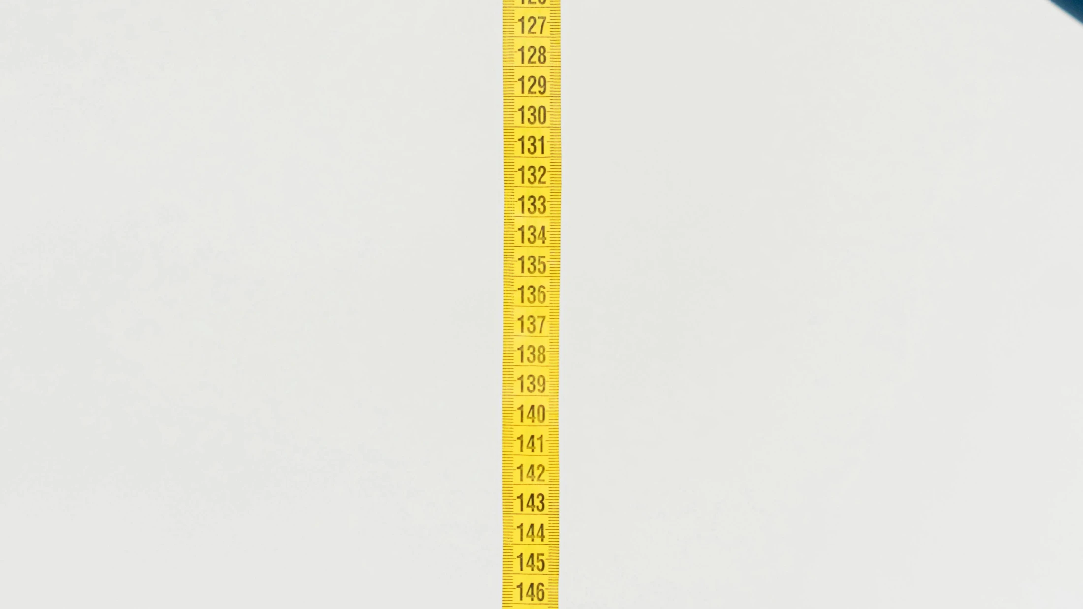 © SHVETS production © SHVETS production