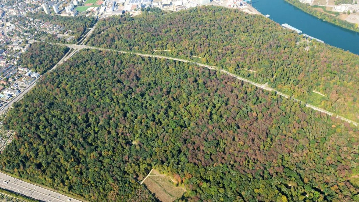 Hardwald fördert besseres «Miteinander», © Bürgergemeinde Stadt Basel Hardwald fördert besseres «Miteinander», © Bürgergemeinde Stadt Basel