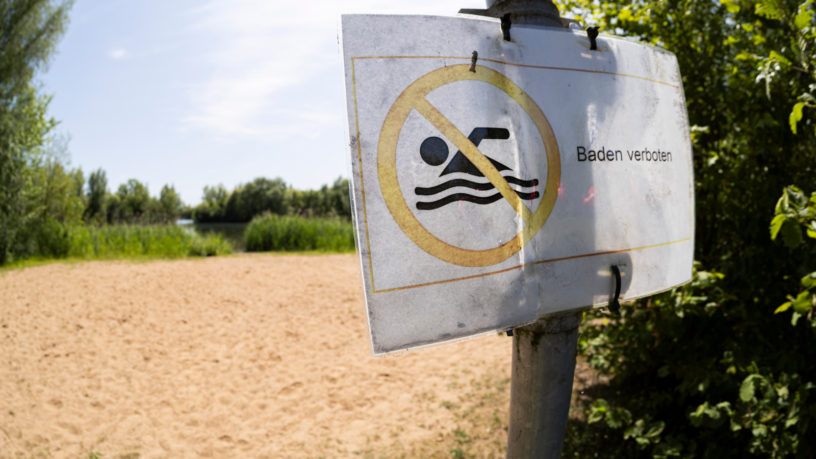Bremen'de Werdersee’de Kısmi Yüzme Yasağı!, © Michael Matthey/dpa
