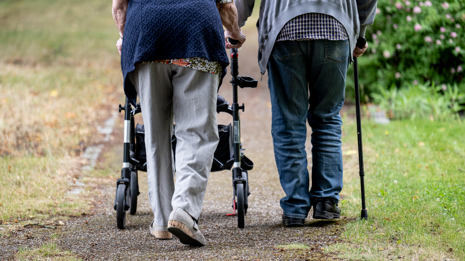 Almanya’da Rekor Seviyede 'Emekli Temel Gelir Desteği', © Fabian Sommer/dpa