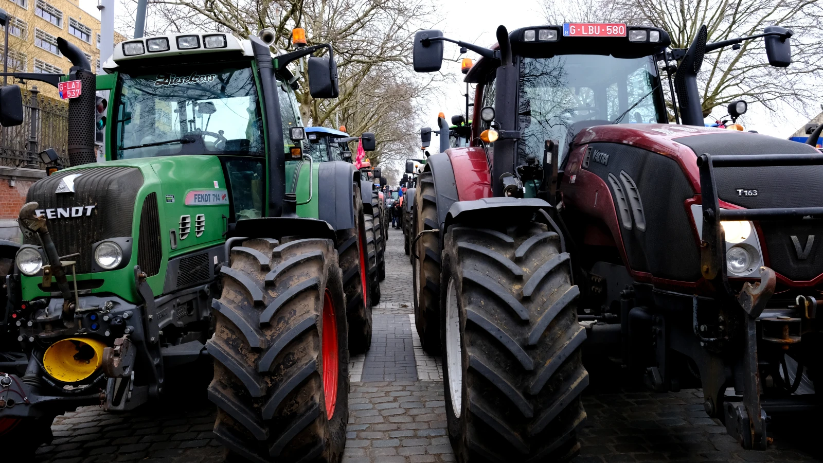 Shutterstock, © Shutterstock Shutterstock, © Shutterstock