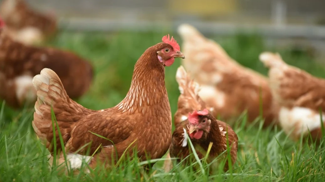 © Symbolbild: Unsplash, Thomas Iversen © Symbolbild: Unsplash, Thomas Iversen