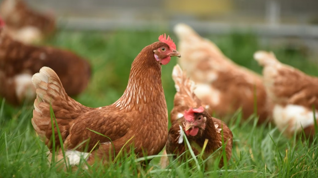 © Symbolbild: Unsplash, Thomas Iversen