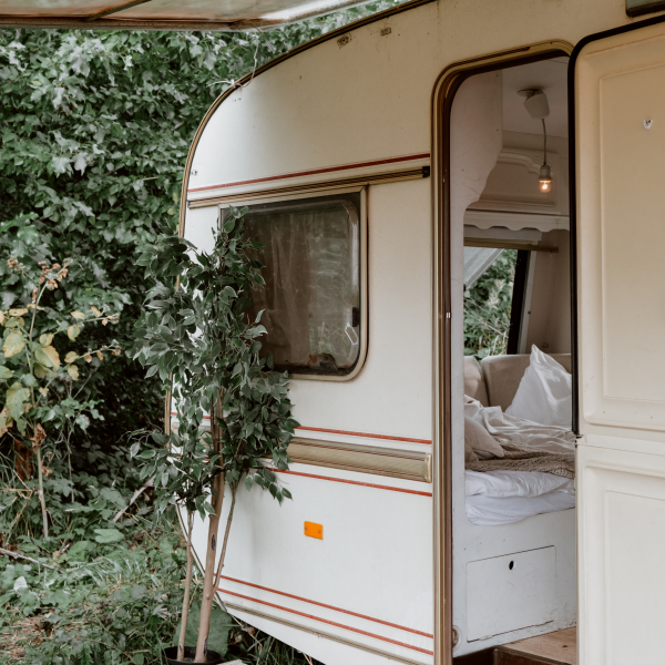 Lara Sorgatz, © cottonbro studio