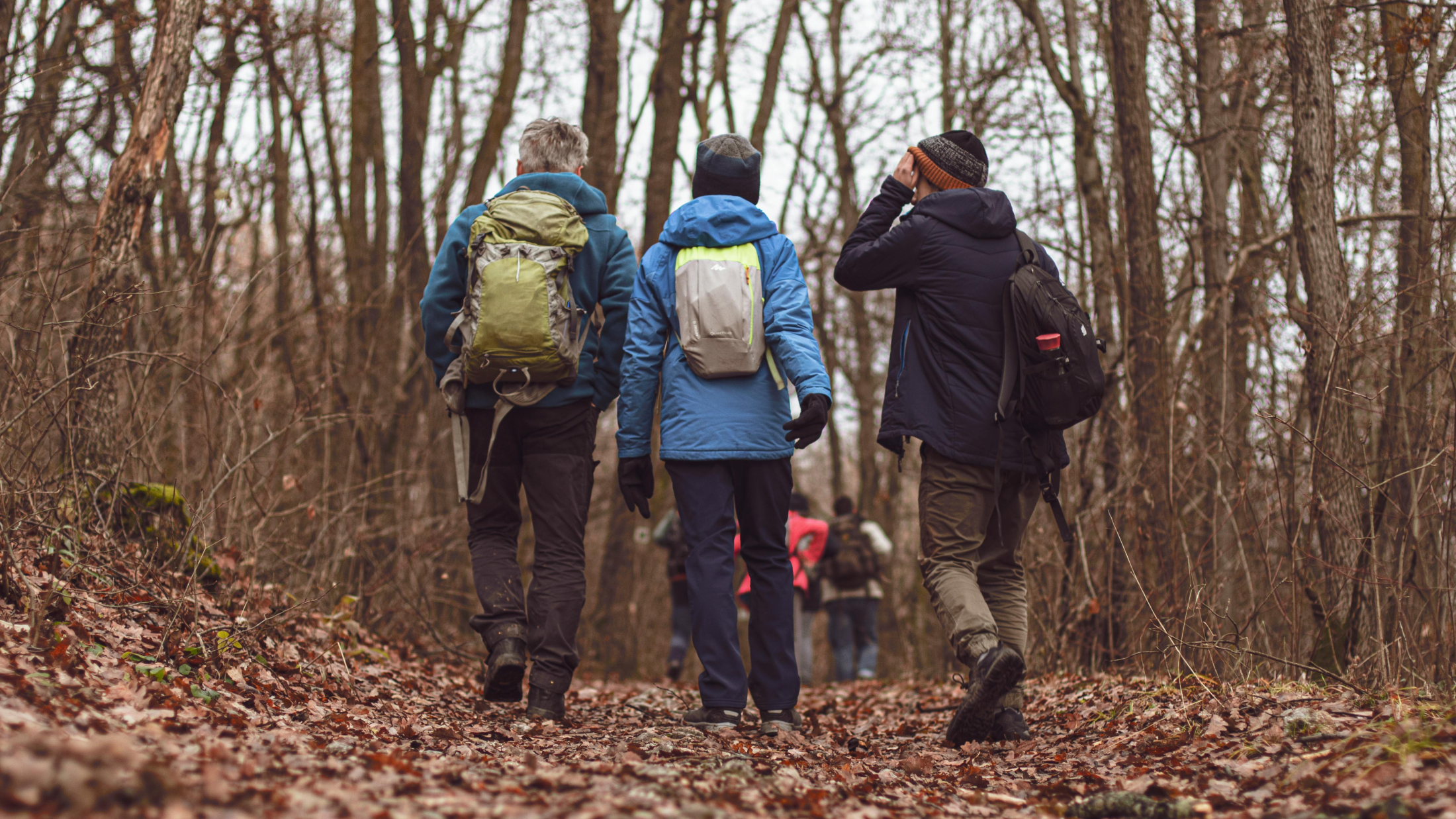 © Kelemen Boldizsár