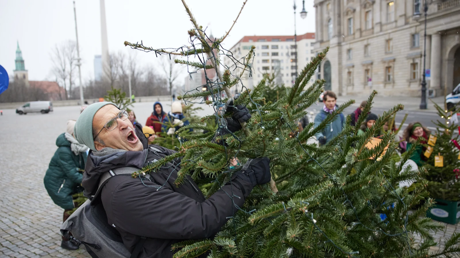 Berlin ve Brandenburg'da Noel Ağaçları Toplanıyor!, © dpa Berlin ve Brandenburg'da Noel Ağaçları Toplanıyor!, © dpa