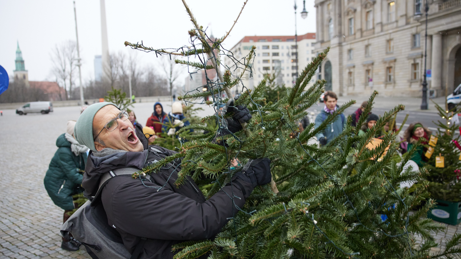 Berlin ve Brandenburg'da Noel Ağaçları Toplanıyor!, © dpa