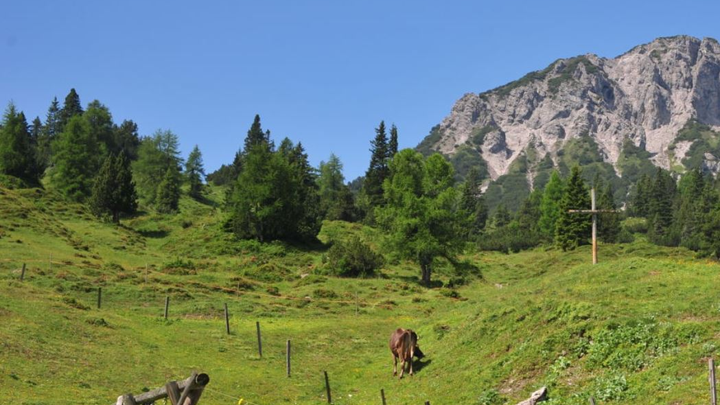 Alpwirtschaft: Alpe Guschg wird neu eingestuft, © Liechtenstein Marketing