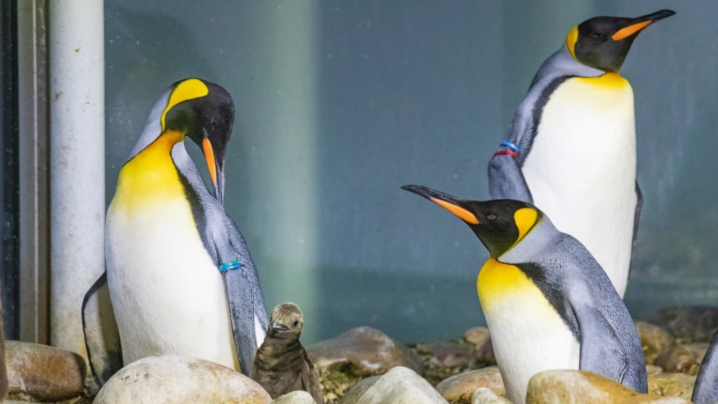 © Zoo Basel © Zoo Basel