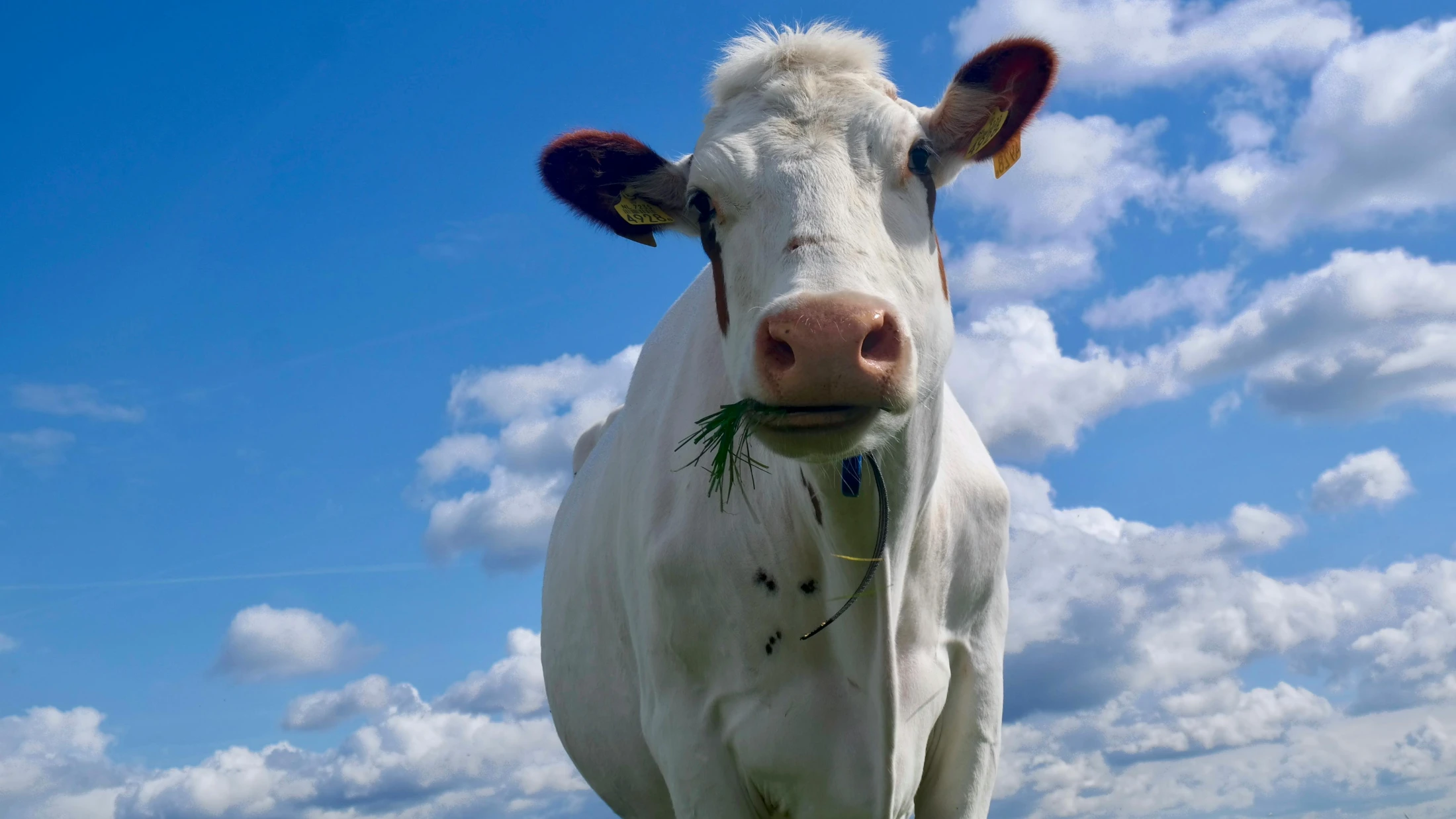 © Matthias Zomer © Matthias Zomer