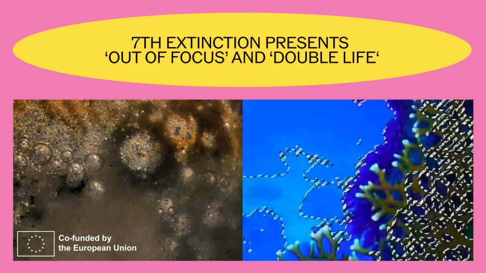 THE 7th EXTINCTION PROJECTS: 'OUT OF FOCUS' & 'DOUBLE LIFE', © Autostrada Studios THE 7th EXTINCTION PROJECTS: 'OUT OF FOCUS' & 'DOUBLE LIFE', © Autostrada Studios