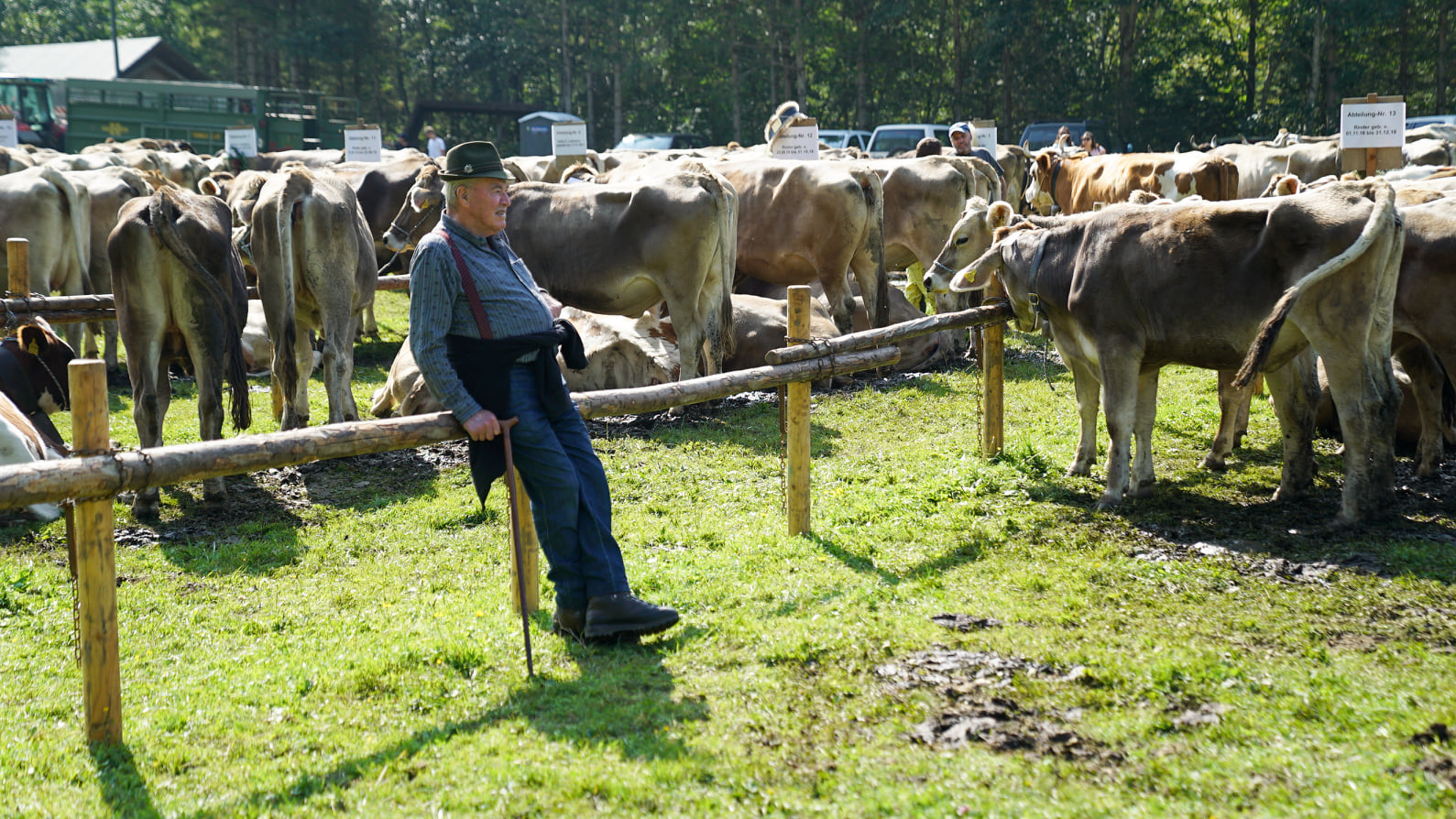 Jahrmarkt und Prämienmarkt im Vaduzer Städtle, © 1FLTV / Archivbild