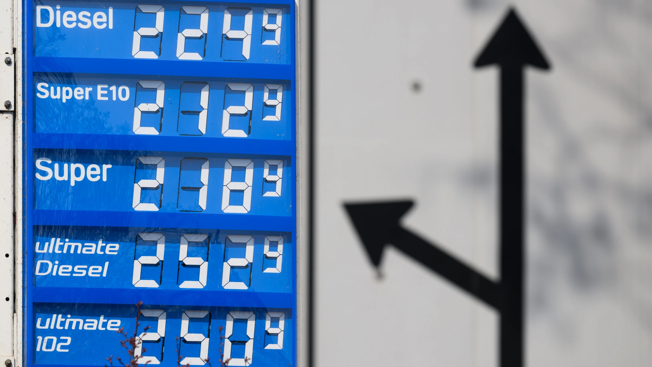 © Robert Michael/dpa © Robert Michael/dpa