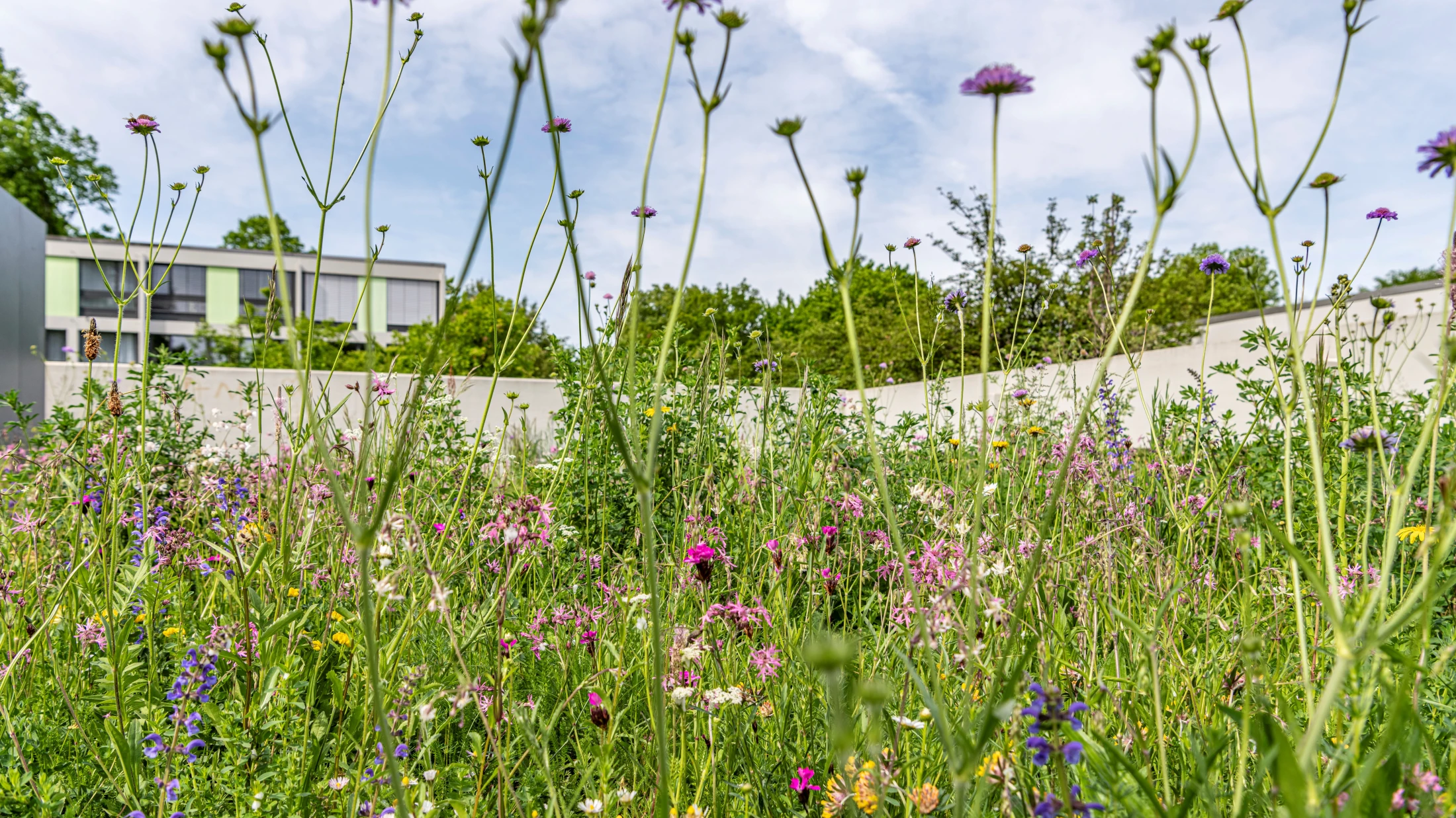 © Christoph Merian Stiftung © Christoph Merian Stiftung