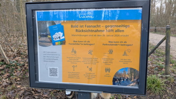 Fasnachts-Knigge im Park: Damit es beim Üben nicht knallt, © Radio Basilisk 