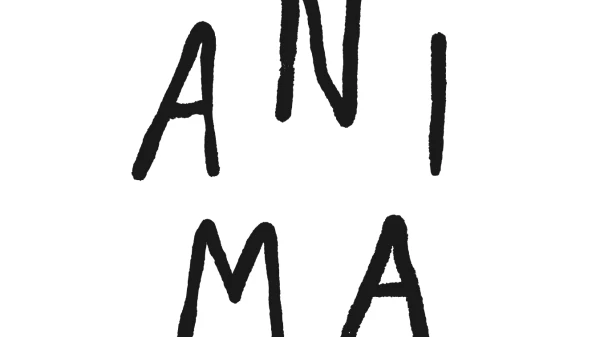 Newsletter December 2nd Newsletter December 2nd