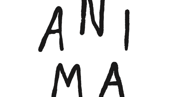 Newsletter December 2nd