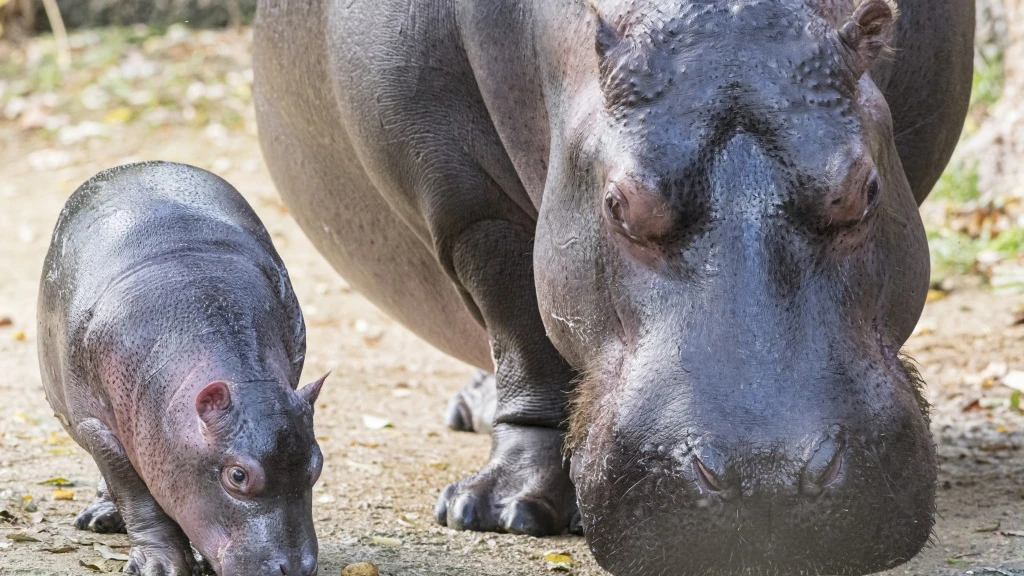 © Zoo Basel © Zoo Basel