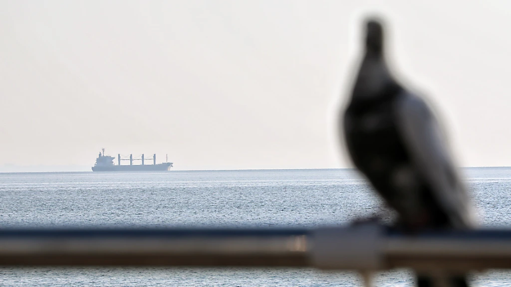 Explosion auf Frachter im Schwarzen Meer, © Ukrinform/dpa Explosion auf Frachter im Schwarzen Meer, © Ukrinform/dpa