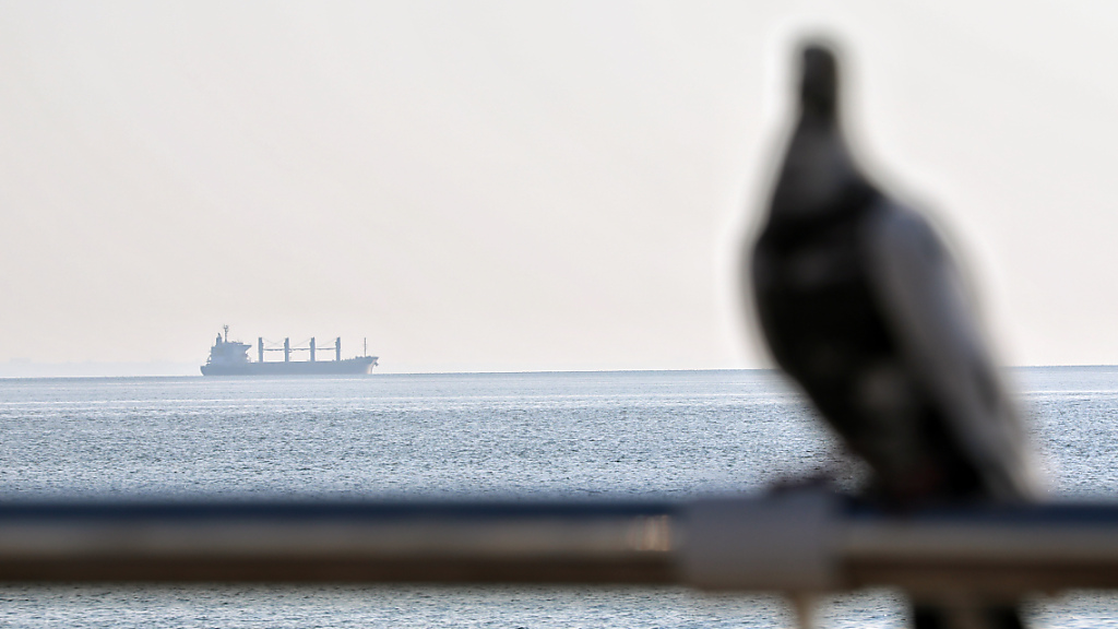 Explosion auf Frachter im Schwarzen Meer, © Ukrinform/dpa