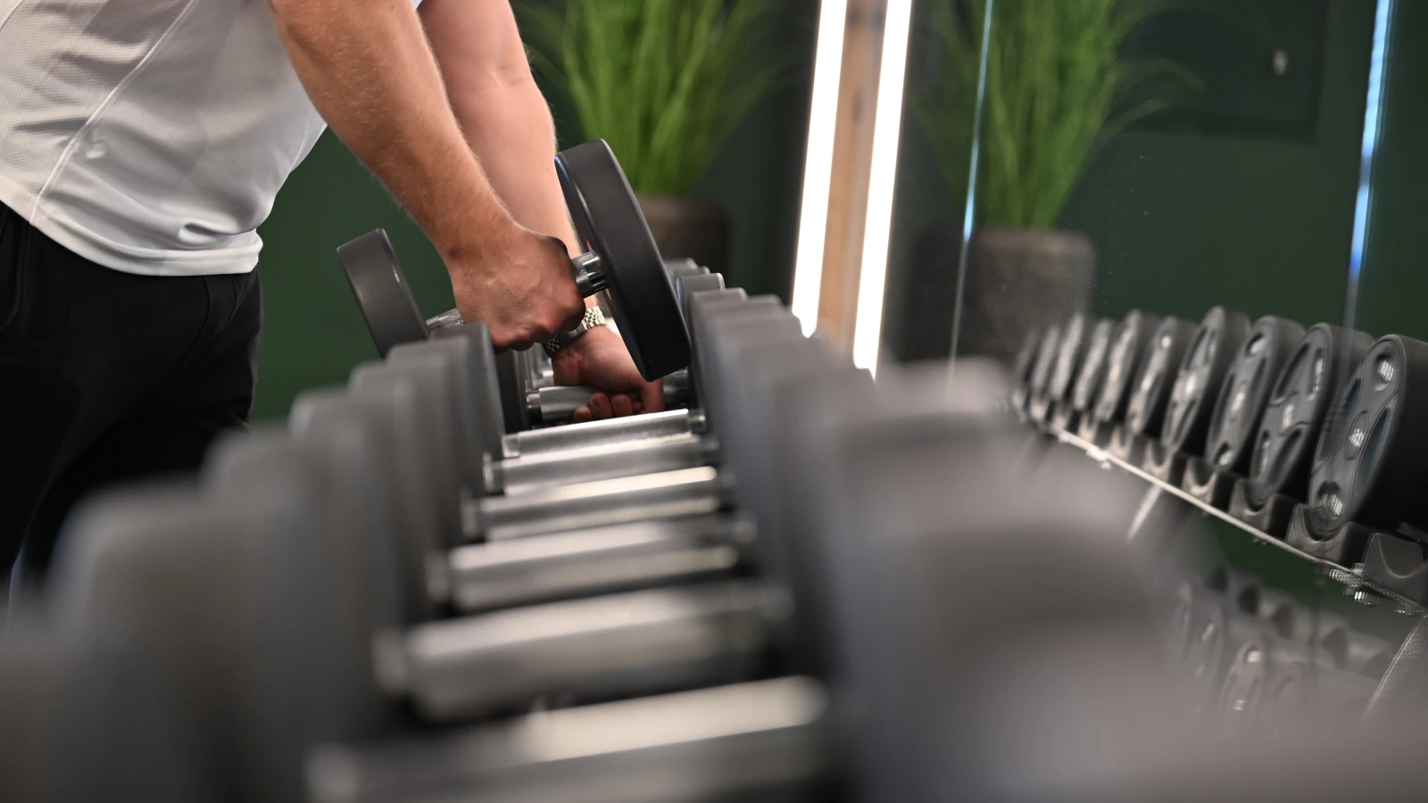 FIBO Fuarı Başladı: Fitness ve Vücut Geliştirme Dünyası Buluşuyor, © dpa FIBO Fuarı Başladı: Fitness ve Vücut Geliştirme Dünyası Buluşuyor, © dpa