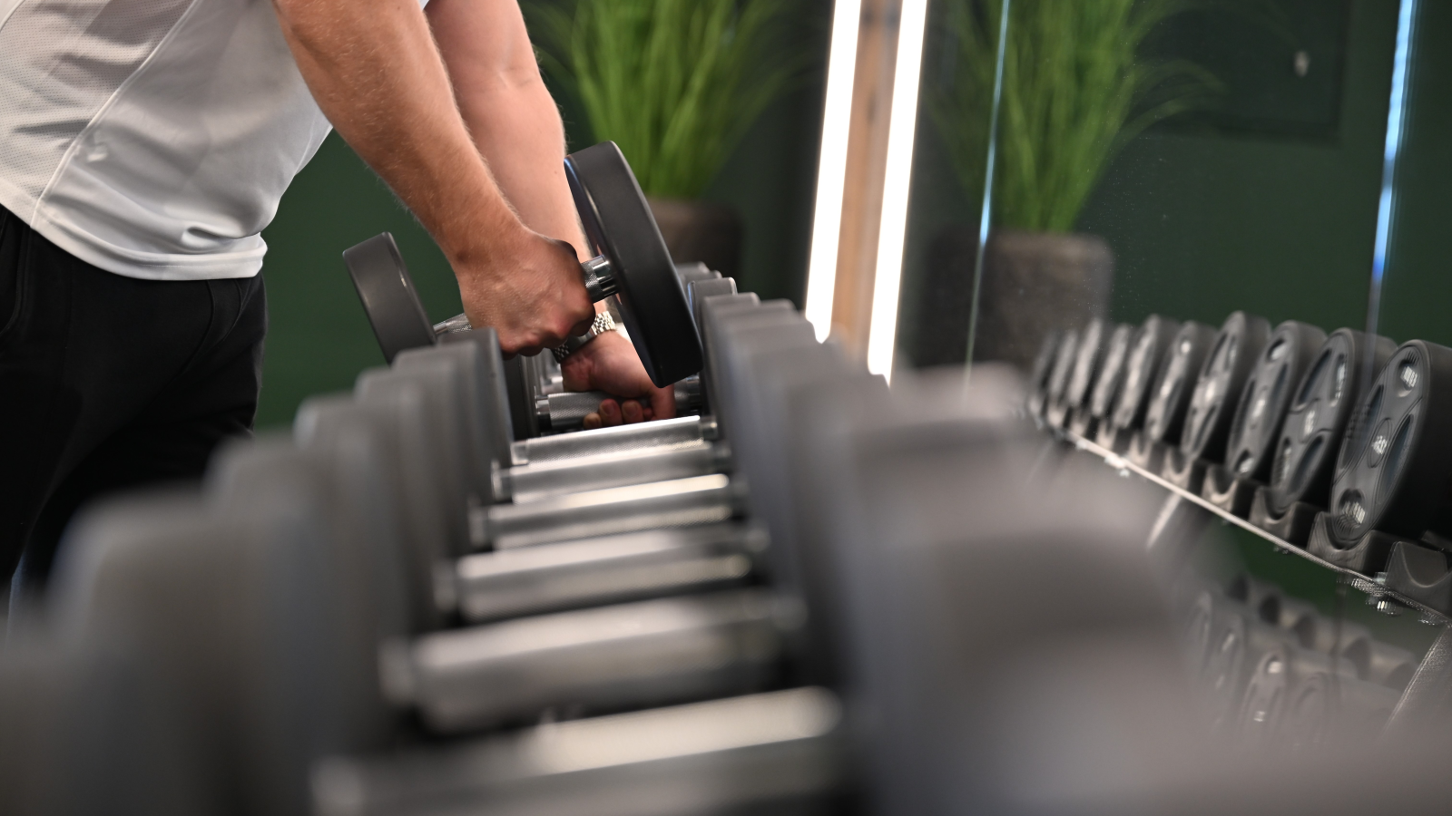 FIBO Fuarı Başladı: Fitness ve Vücut Geliştirme Dünyası Buluşuyor, © dpa