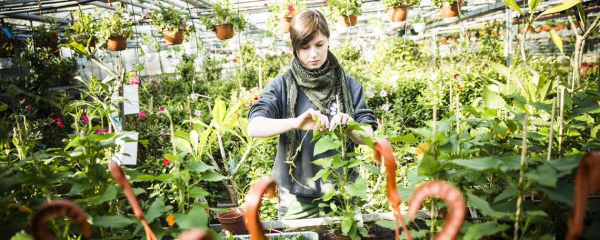 Die GGG macht Basel besser, © GGG Basel