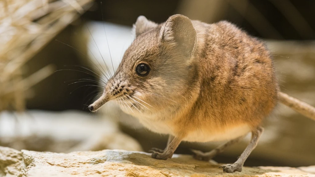 © Zoo Basel © Zoo Basel