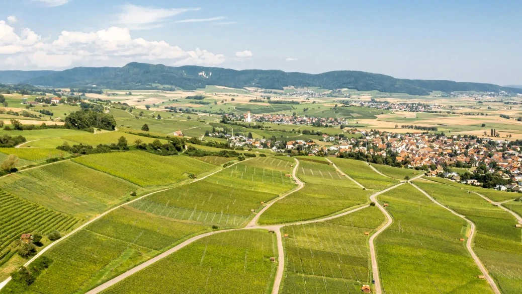 © Symbolbild. Quelle: Naturpark SH. © Symbolbild. Quelle: Naturpark SH.