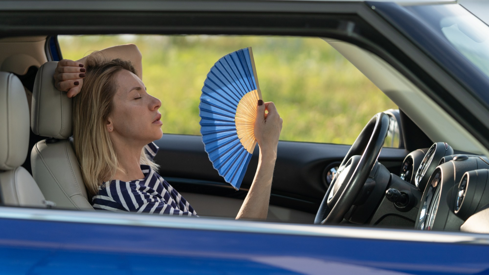 Lebensgefahr im Sommer: So schnell wird das Auto zur Hitzefalle, © DimaBerlin, Shutterstock