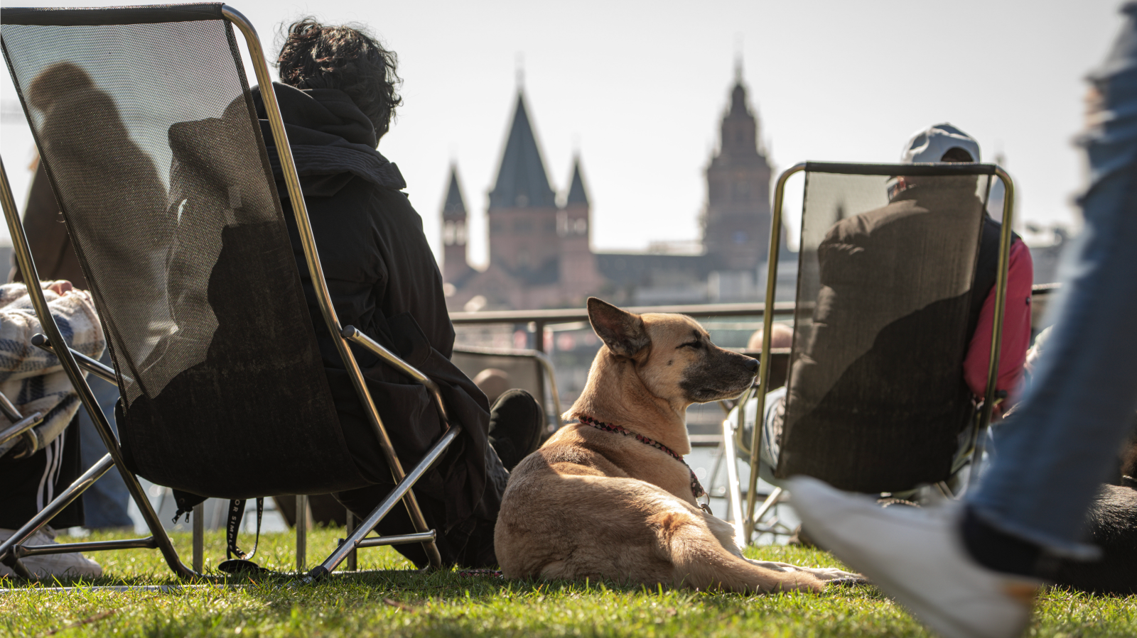 Hessen’de Bahar Havası: Güneşli Günler, Ancak Don Tehlikesi Devam Ediyor, © Andreas Arnold/dpa