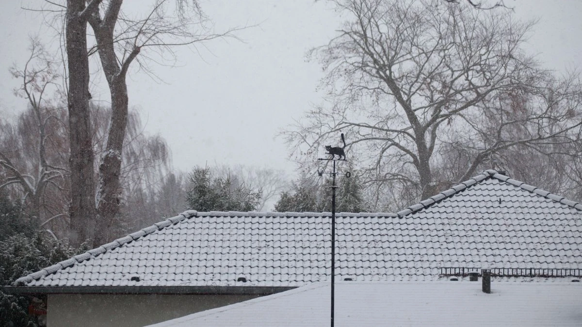 2026 kışla geliyor: Almanya’da yeni yıla soğuk ve karla giriş, © Hans-Thomas Frisch/dpa 2026 kışla geliyor: Almanya’da yeni yıla soğuk ve karla giriş, © Hans-Thomas Frisch/dpa