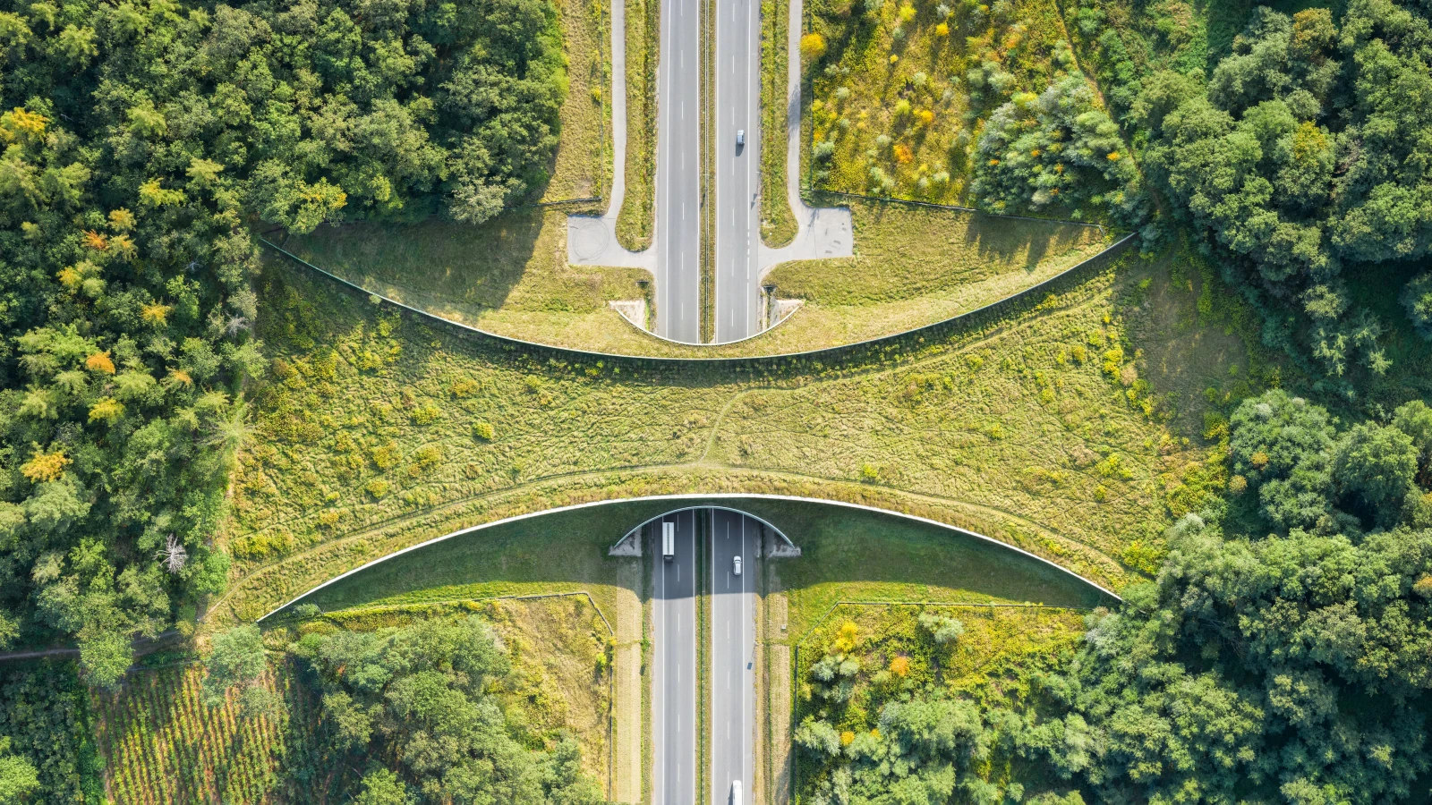 Zwei neue Wildtierüberführungen auf der A13, © Deposifotos / Symbolbild Zwei neue Wildtierüberführungen auf der A13, © Deposifotos / Symbolbild