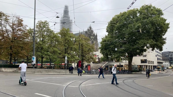 Der Platanenbaum beim Theater Basel , © Radio Basilisk Der Platanenbaum beim Theater Basel , © Radio Basilisk