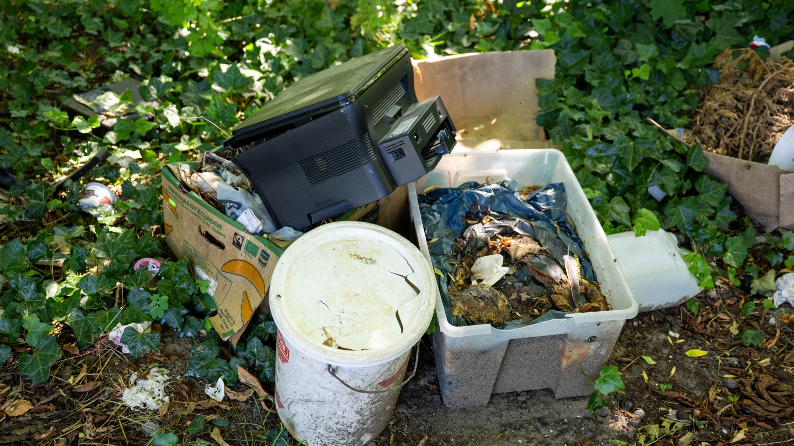 Rheinland-Pfalz’da Atık Kuralları ve Önemli Noktalar, © Christophe Gateau/dpa Rheinland-Pfalz’da Atık Kuralları ve Önemli Noktalar, © Christophe Gateau/dpa