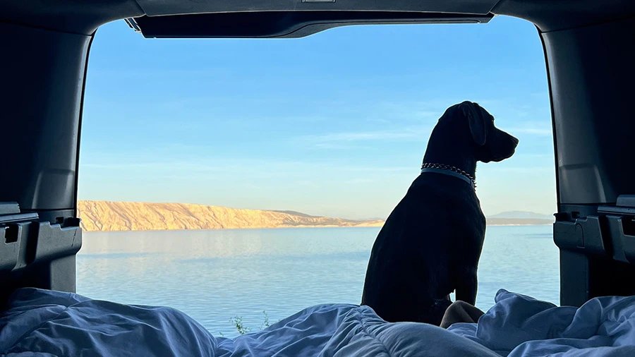 Südtirol führt Hundetaxe ein - auch für Urlauber, © Foto: Ana Adventure / Shutterstock Südtirol führt Hundetaxe ein - auch für Urlauber, © Foto: Ana Adventure / Shutterstock