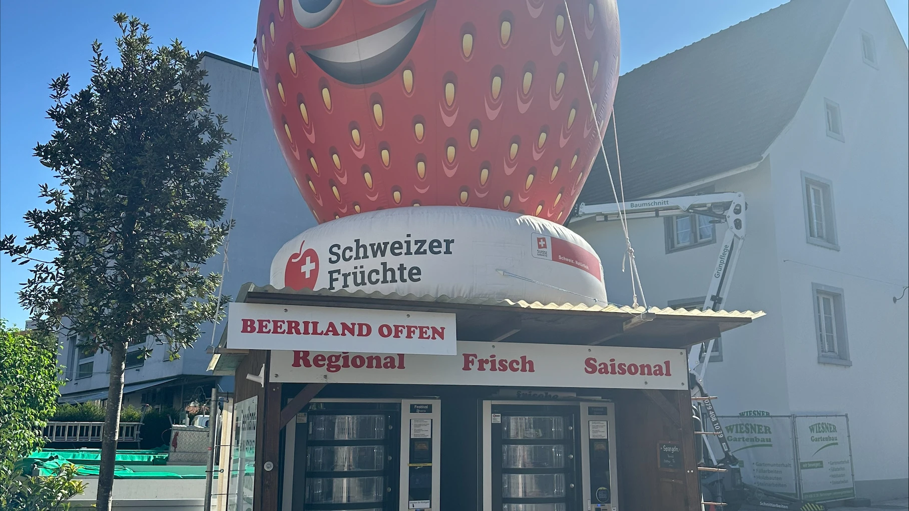 © basilisk © basilisk