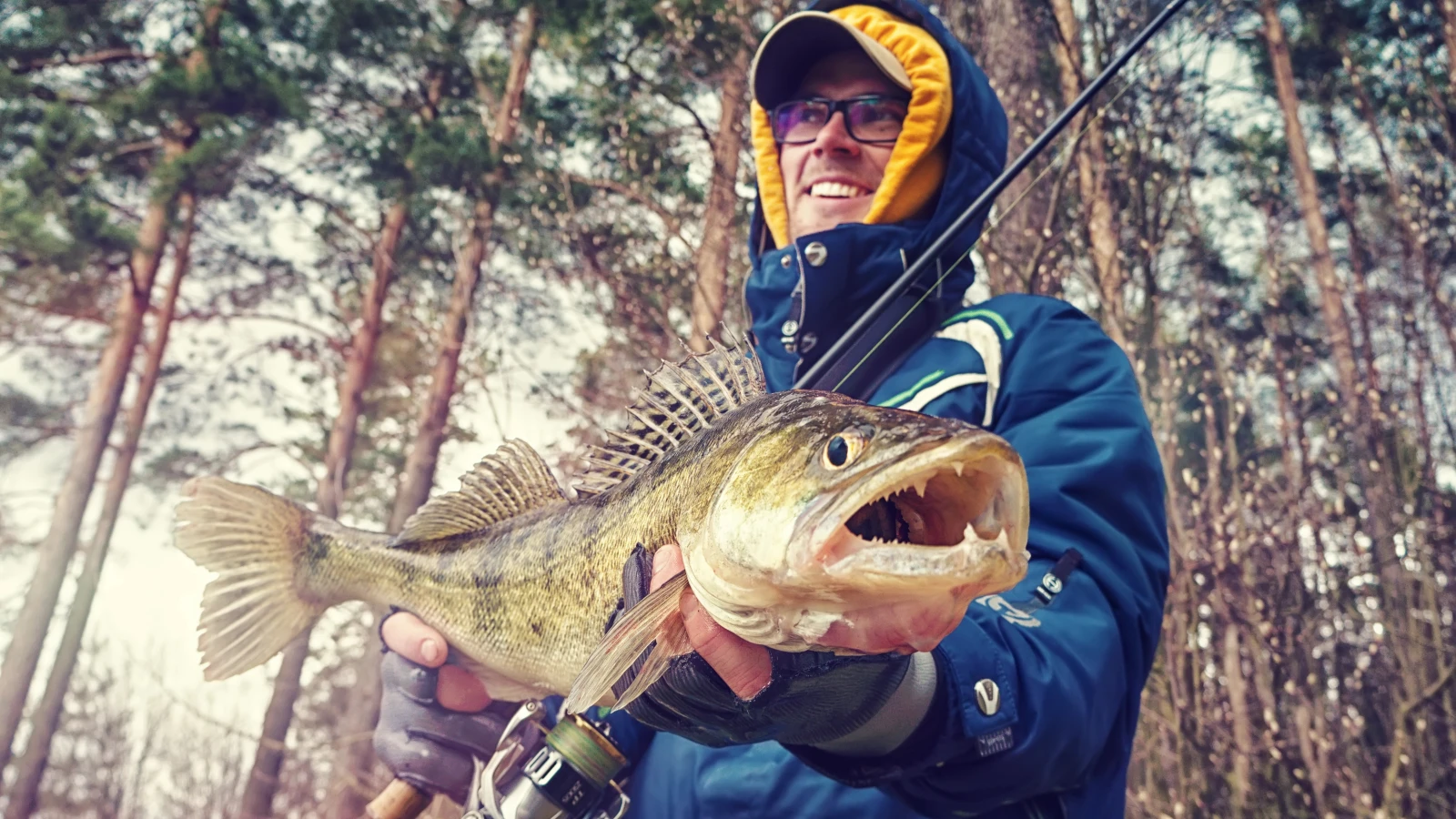 Zander ist Fisch des Jahres 2025, © Depositfotos / Symbolbild / wwwarjag Zander ist Fisch des Jahres 2025, © Depositfotos / Symbolbild / wwwarjag