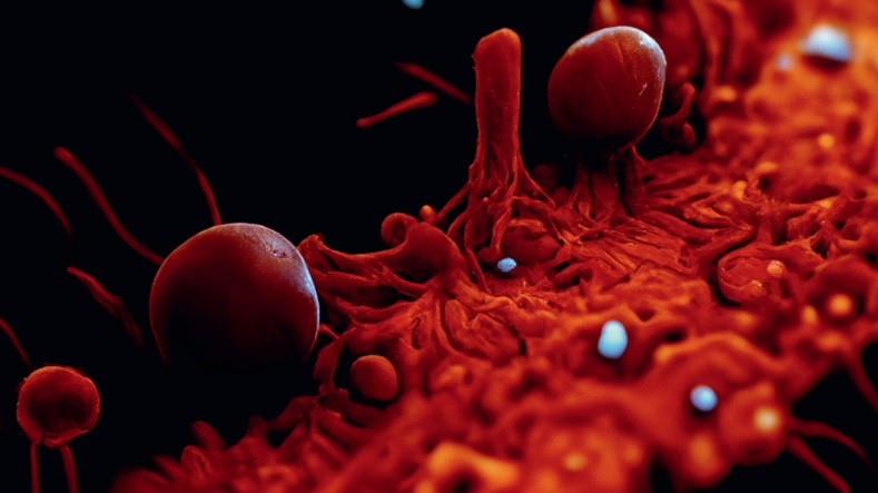 Vernissage «Hallucinations» von Claudia Larcher, © ZVG