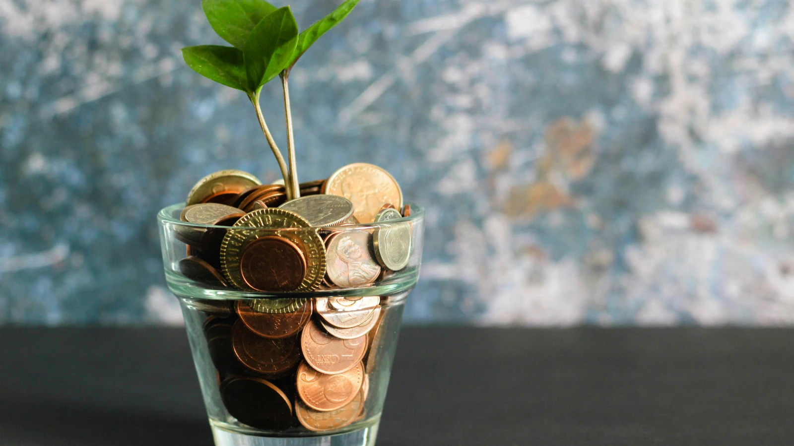 In Österreich drücken 81 Prozent die Ausgabenbremse, © Unsplash/michelle Henderson In Österreich drücken 81 Prozent die Ausgabenbremse, © Unsplash/michelle Henderson