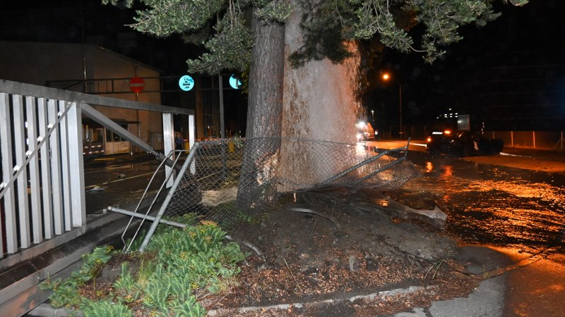 Unfall unter Alkoholeinfluss, © Landespolizei