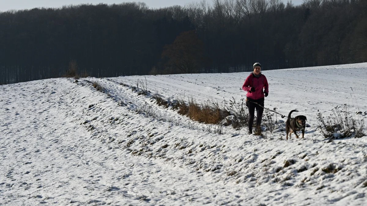 Hessen’de Dondurucu Soğuklar Sürüyor: Gece -11 Derece Ölçüldü, © Michael Brandt/dpa Hessen’de Dondurucu Soğuklar Sürüyor: Gece -11 Derece Ölçüldü, © Michael Brandt/dpa