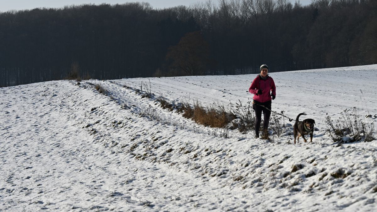 Hessen’de Dondurucu Soğuklar Sürüyor: Gece -11 Derece Ölçüldü, © Michael Brandt/dpa