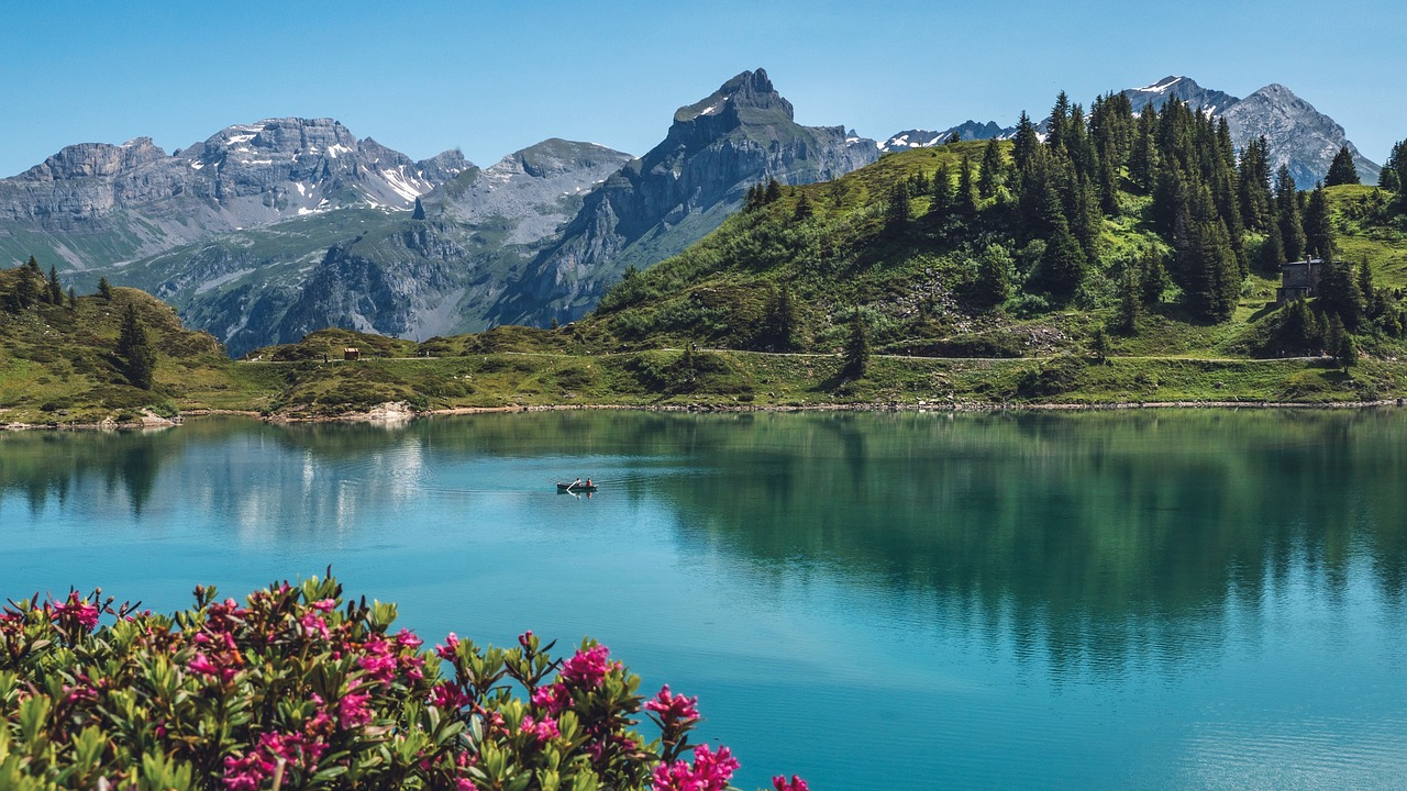 Gebirgskantone lehnen Objektsteuer ab, © Pixabay