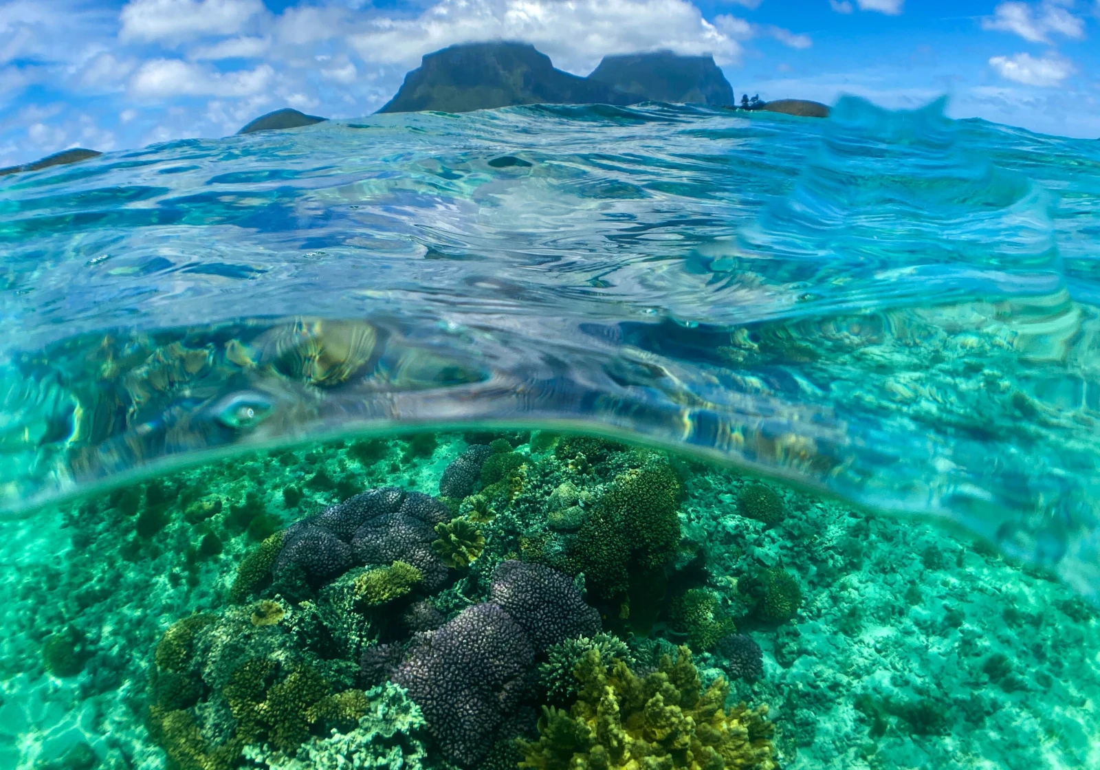 Wie der Klimawandel unsere Meere gefährdet Wie der Klimawandel unsere Meere gefährdet