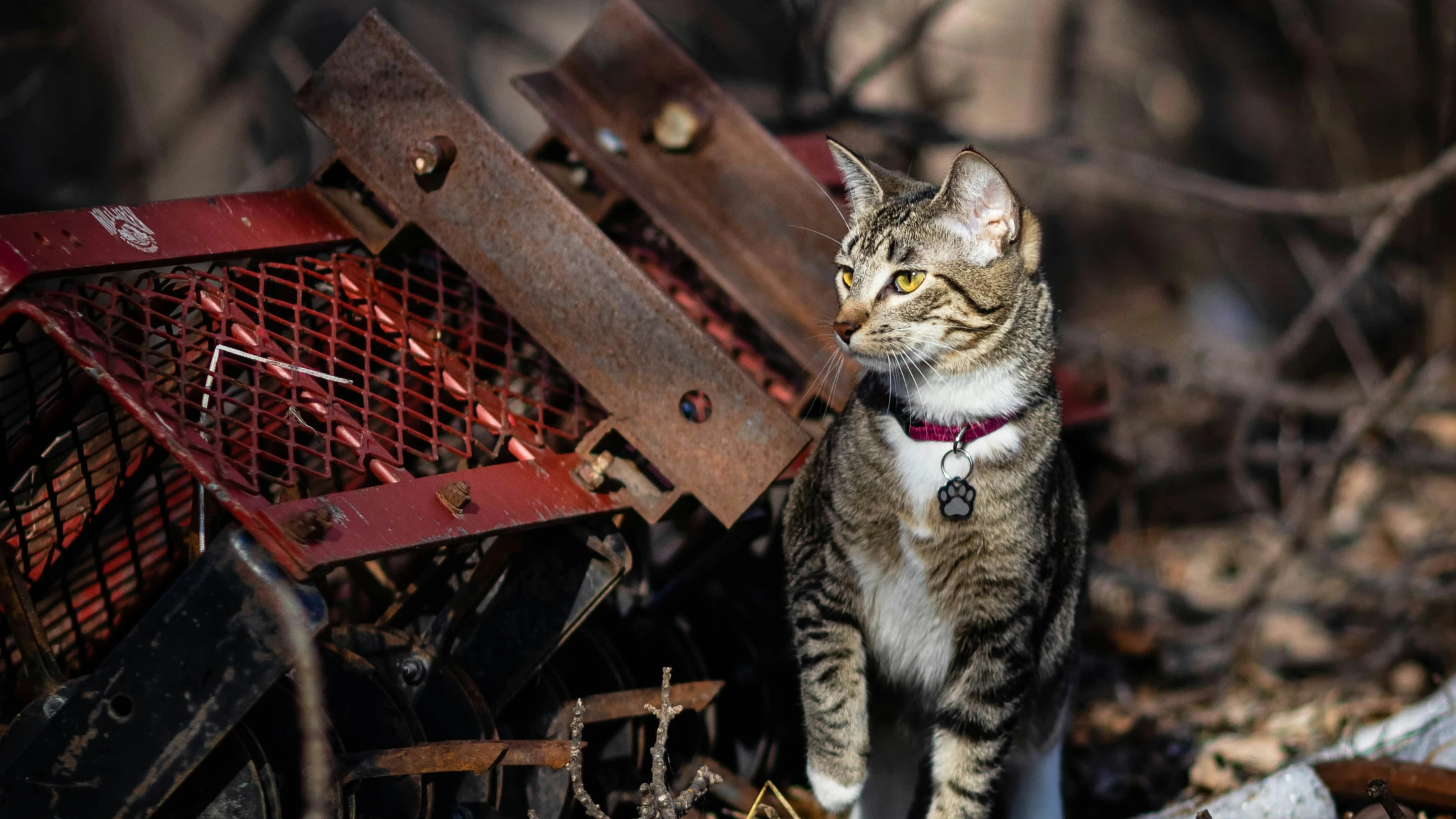 © Unsplash/Cole Wyland © Unsplash/Cole Wyland