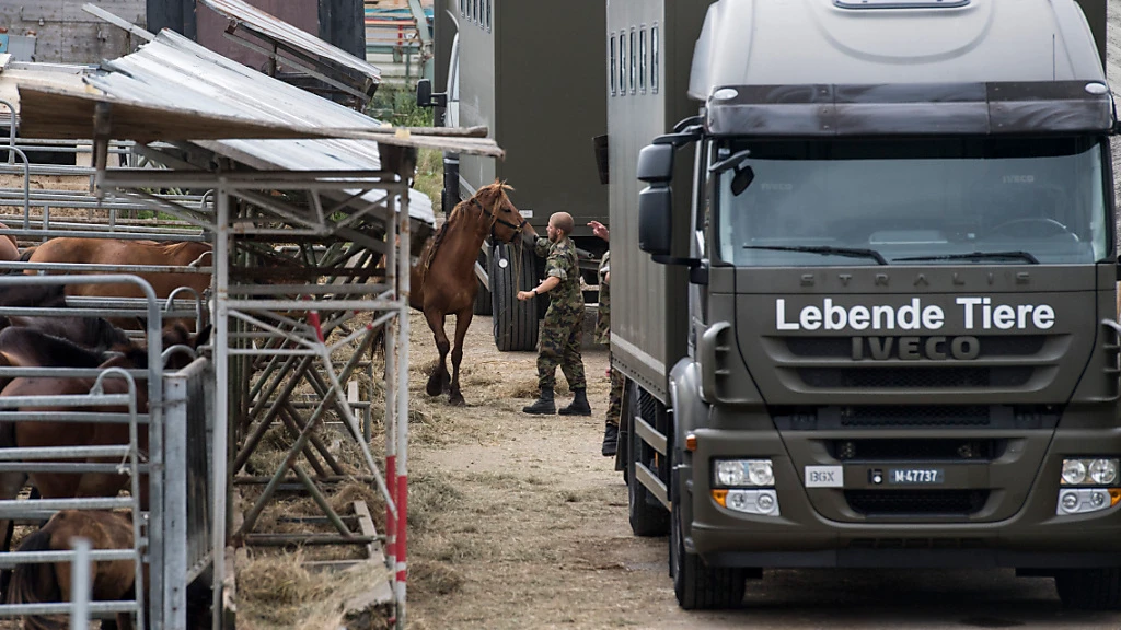 Thurgauer Ex-Veterinäramts-Chef freigesprochen, © Keystone-SDA Thurgauer Ex-Veterinäramts-Chef freigesprochen, © Keystone-SDA
